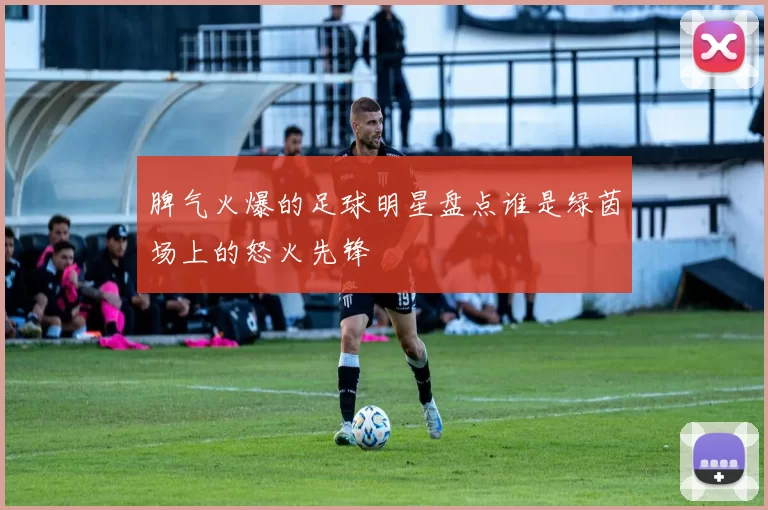脾气火爆的足球明星盘点谁是绿茵场上的怒火先锋