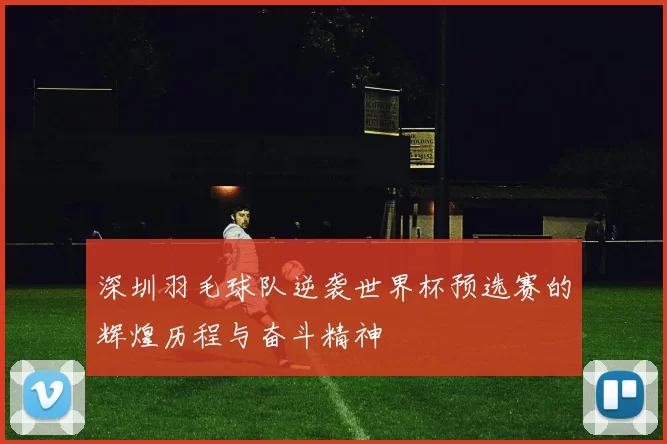 深圳羽毛球队逆袭世界杯预选赛的辉煌历程与奋斗精神