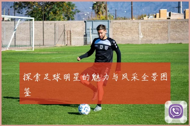 探索足球明星的魅力与风采全景图鉴