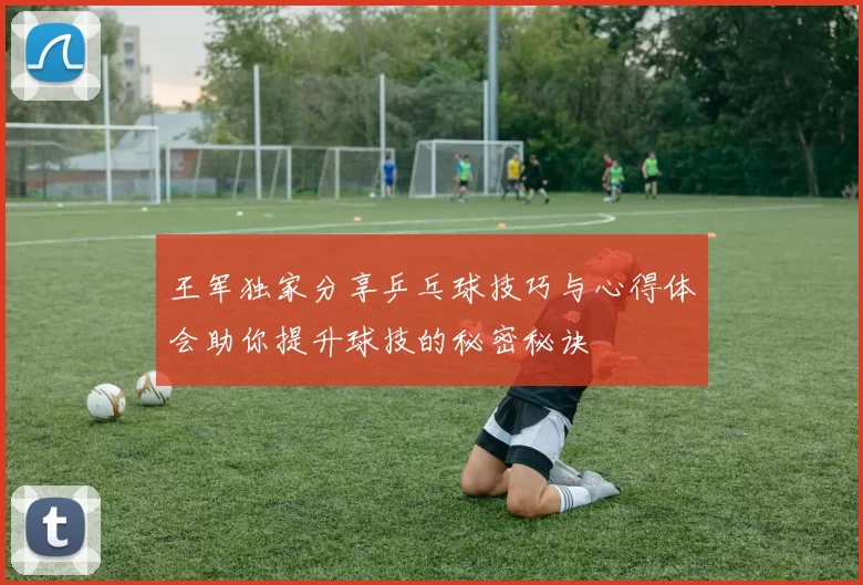 王军独家分享乒乓球技巧与心得体会助你提升球技的秘密秘诀