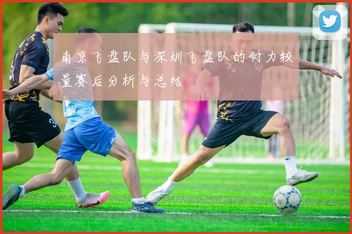 南京飞盘队与深圳飞盘队的耐力较量赛后分析与总结