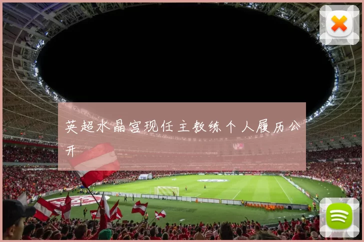 英超水晶宫现任主教练个人履历公开