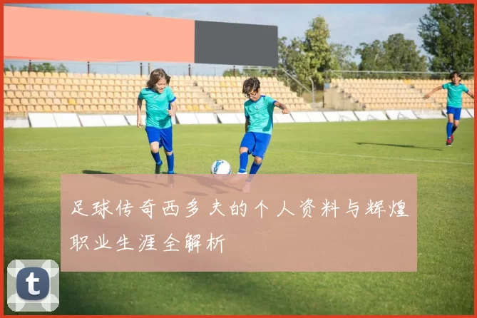 足球传奇西多夫的个人资料与辉煌职业生涯全解析