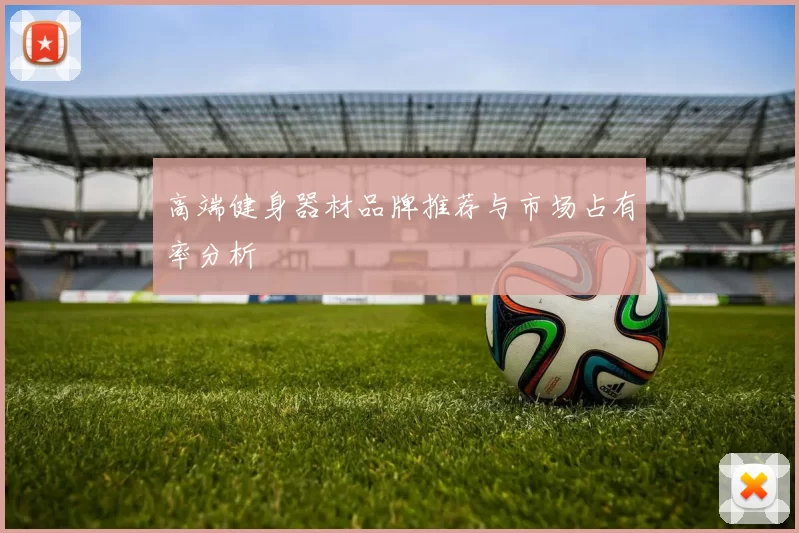 高端健身器材品牌推荐与市场占有率分析
