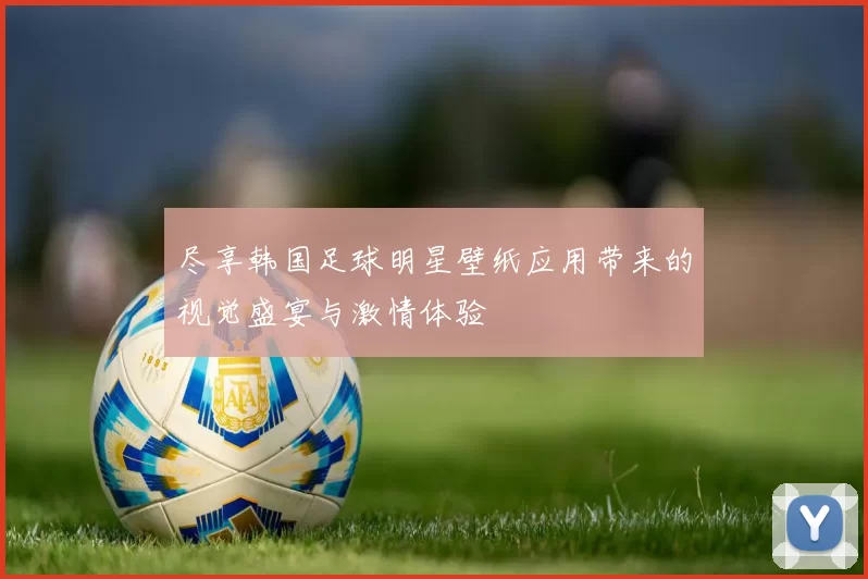 尽享韩国足球明星壁纸应用带来的视觉盛宴与激情体验