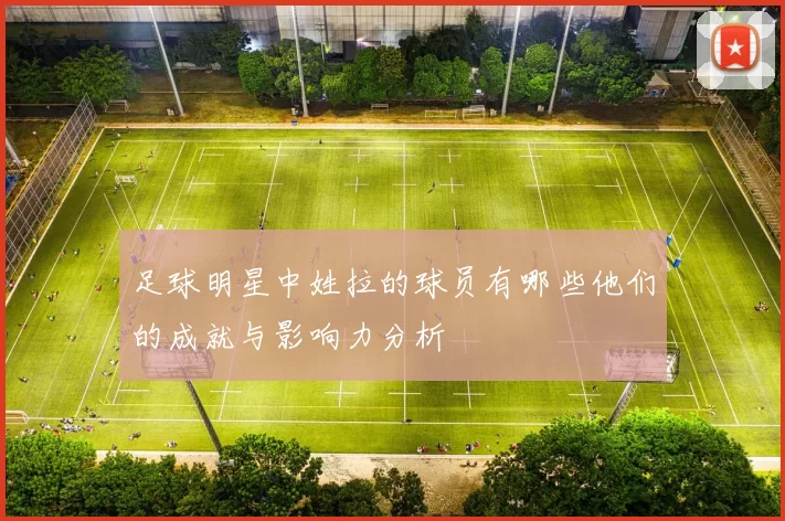 足球明星中姓拉的球员有哪些他们的成就与影响力分析