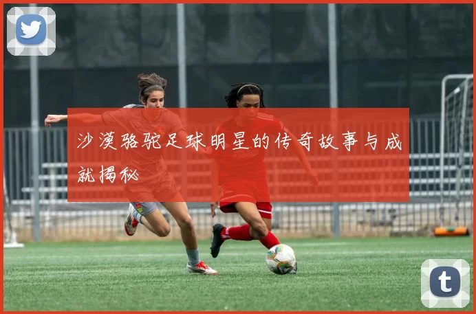 沙漠骆驼足球明星的传奇故事与成就揭秘