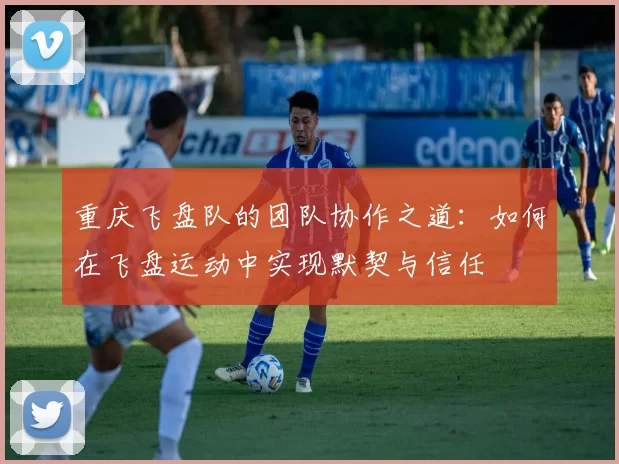 重庆飞盘队的团队协作之道:如何在飞盘运动中实现默契与信任