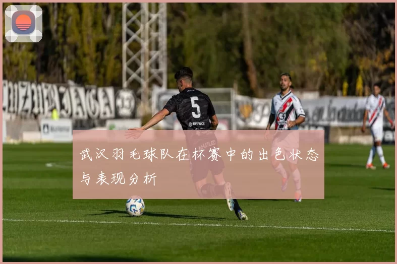 武汉羽毛球队在杯赛中的出色状态与表现分析