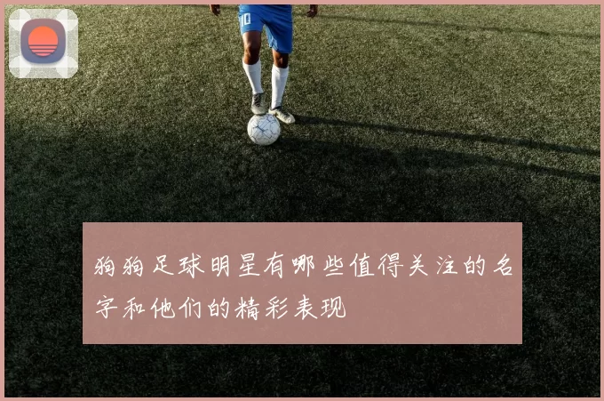 狗狗足球明星有哪些值得关注的名字和他们的精彩表现