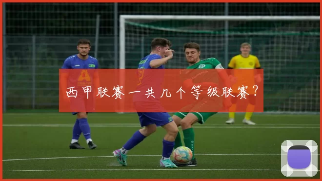 西甲联赛一共几个等级联赛？