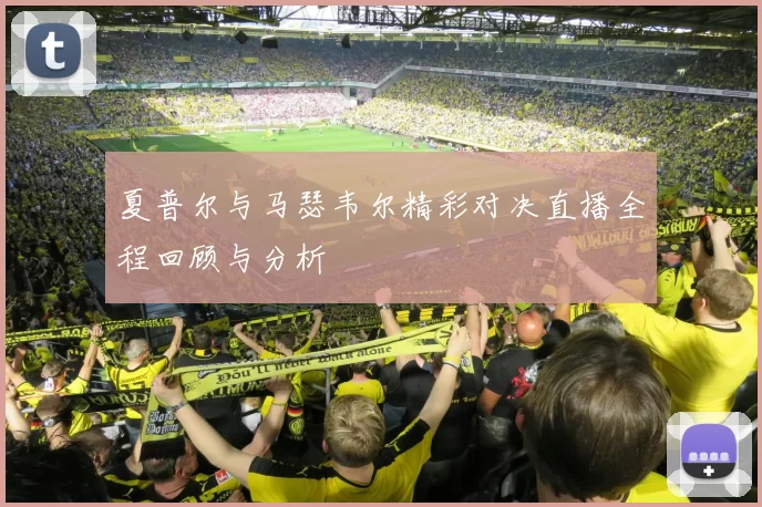 夏普尔与马瑟韦尔精彩对决直播全程回顾与分析