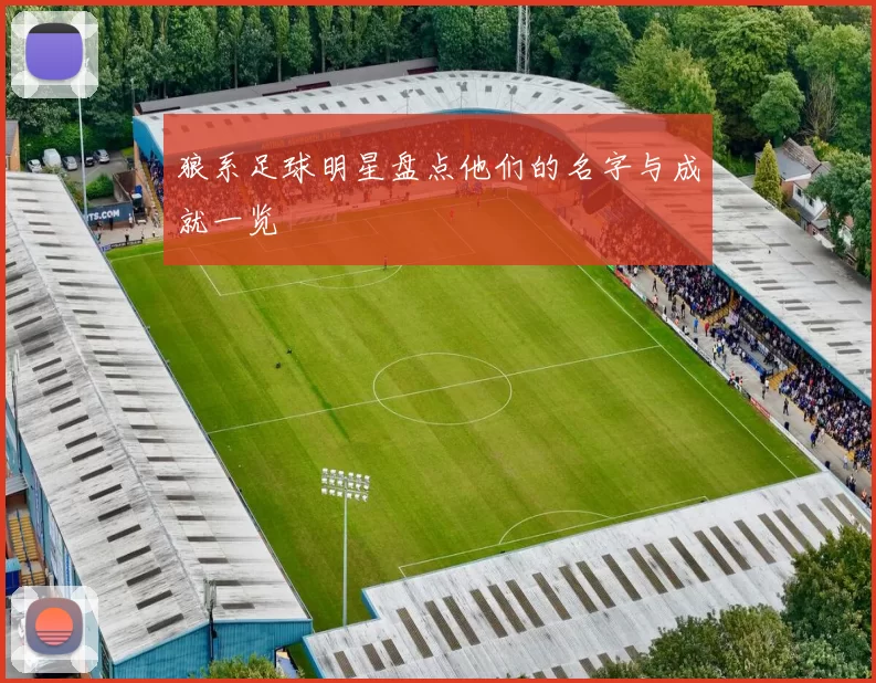 狼系足球明星盘点他们的名字与成就一览