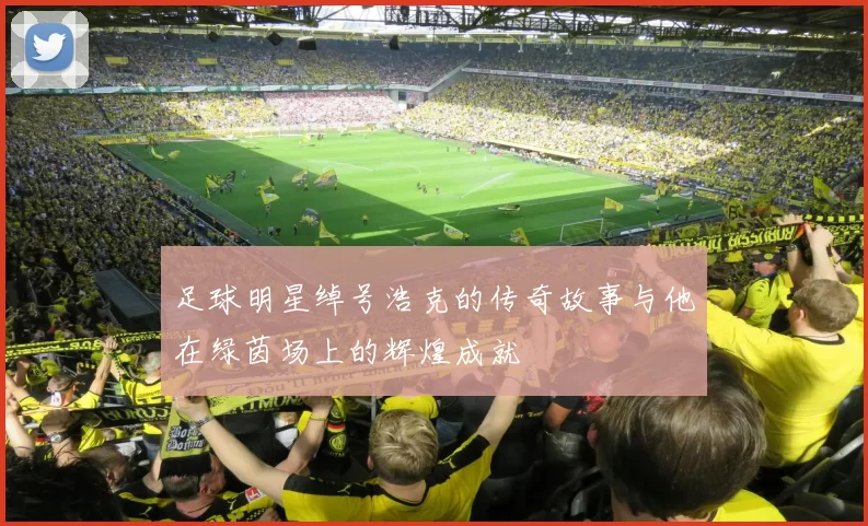 足球明星绰号浩克的传奇故事与他在绿茵场上的辉煌成就