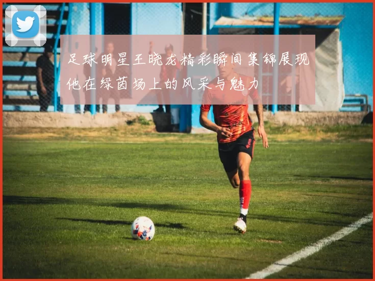 足球明星王晓龙精彩瞬间集锦展现他在绿茵场上的风采与魅力