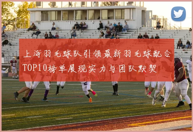 上海羽毛球队引领最新羽毛球配合TOP10榜单展现实力与团队默契