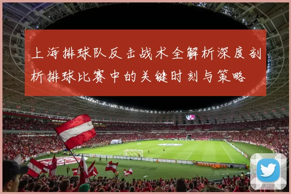上海排球队反击战术全解析深度剖析排球比赛中的关键时刻与策略