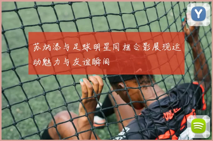 苏炳添与足球明星同框合影展现运动魅力与友谊瞬间