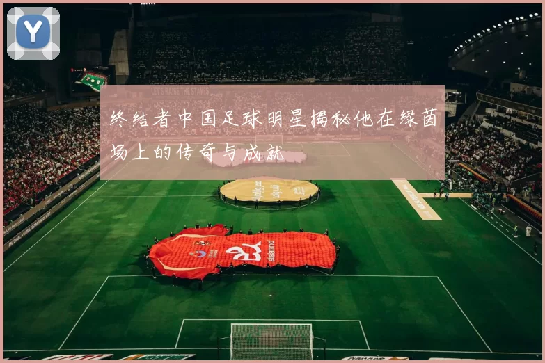 终结者中国足球明星揭秘他在绿茵场上的传奇与成就