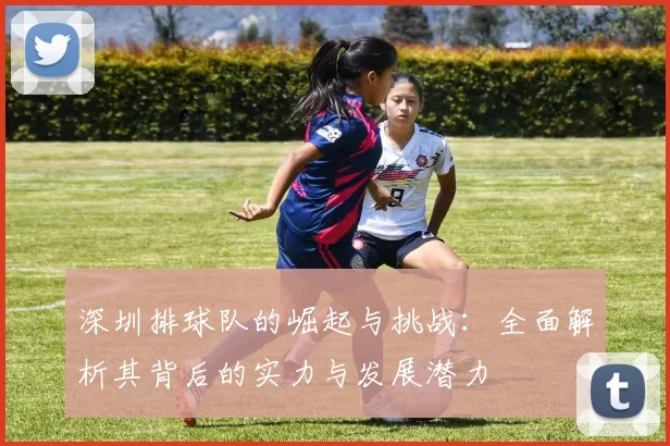 深圳排球队的崛起与挑战：全面解析其背后的实力与发展潜力