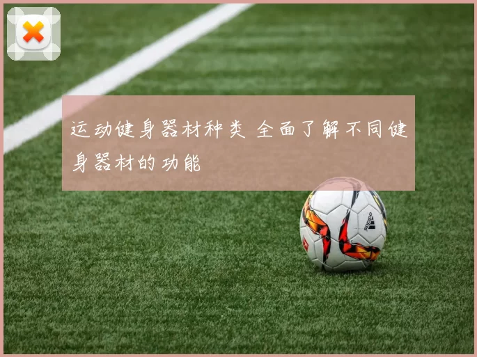 运动健身器材种类 全面了解不同健身器材的功能