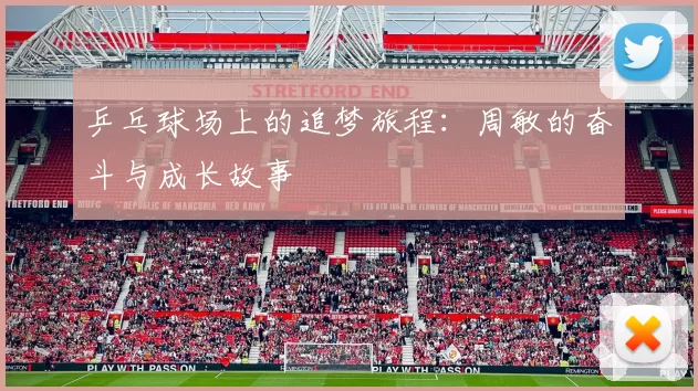 乒乓球场上的追梦旅程：周敏的奋斗与成长故事