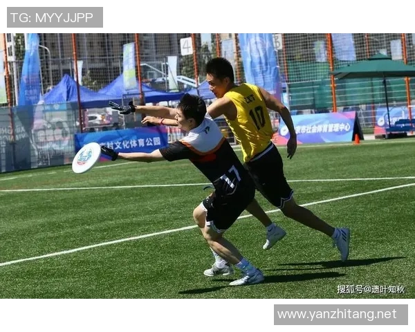 飞盘团队精神：深入解析北京飞盘队的协作与默契之道