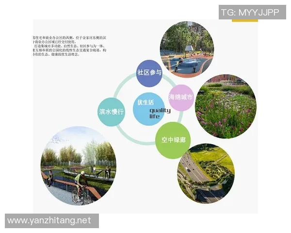 重庆排球队快攻战术解析与实战应用探讨